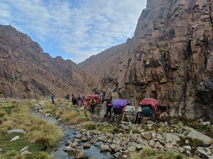 Mules with brightly coloured loads beside a stream in a rocky gorge