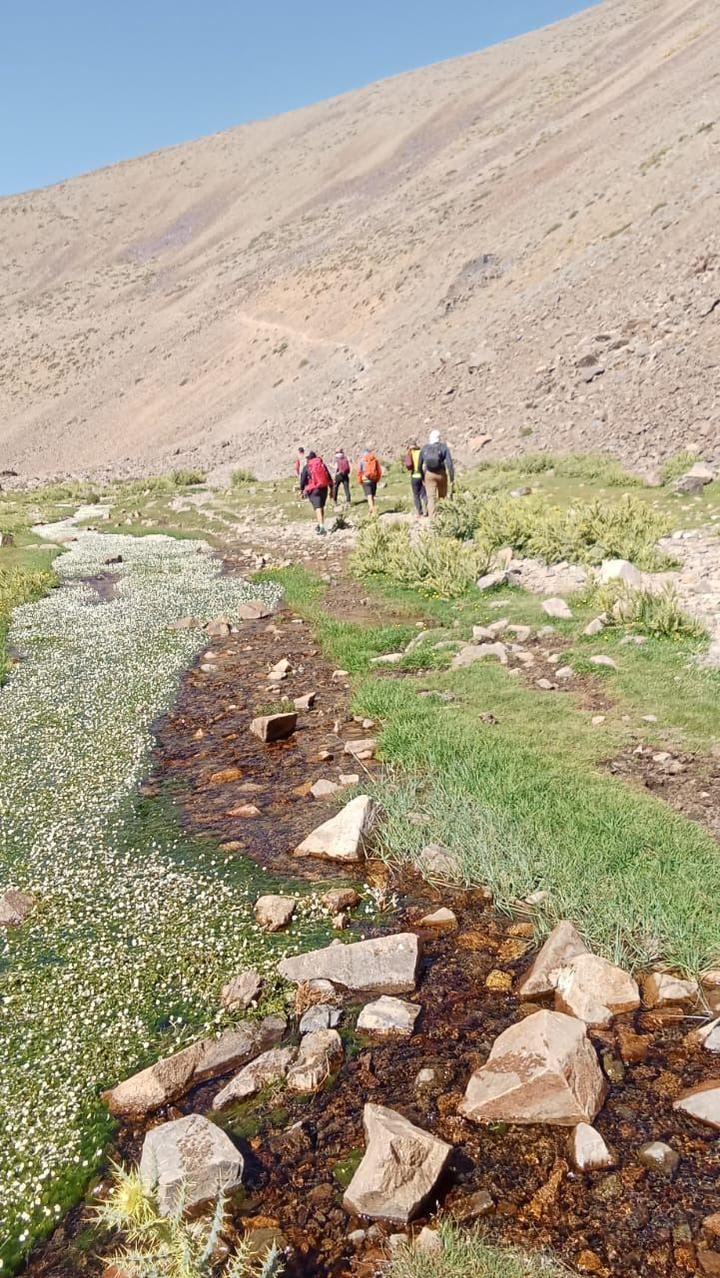 Trekkers walking beside a stream full of white flowers