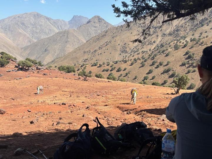 Two pack donkeys grazing on red earth below the mountains, seen from a shady rest stop