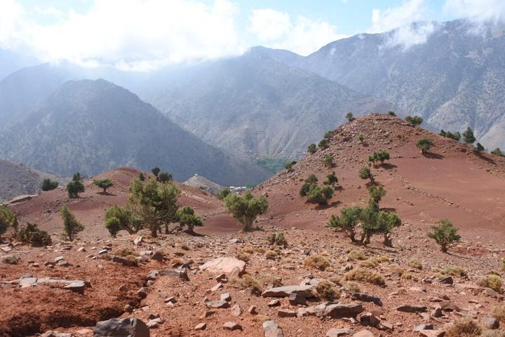 Red hills dotted with juniper trees below cloud-covered peaks